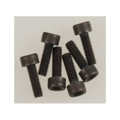 Screws, 2.5x8mm cap-head (6)