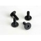Screws, 3x10mm flat-head machine (hex drive) (4)
