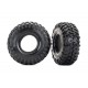 Tires, Canyon Trail 2.2/ foam inserts (2)