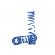 Spring, shock, rear (blue) (GTR) (progressive, 1.042 rate)