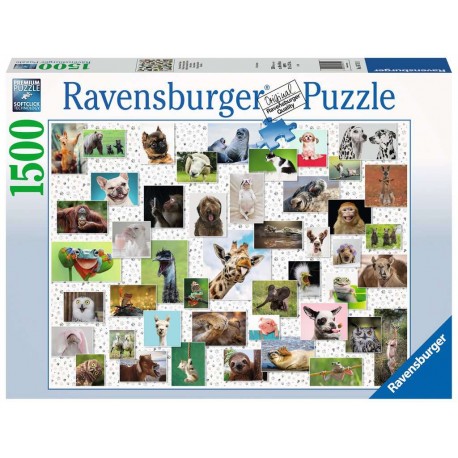 Ravensburger Puzzle - Funny Animals Collage - 1500pc