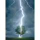 Lighting Striking Tree - 1000pcs