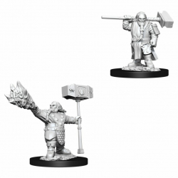 D&D Nolzurs Marvelous Miniatures - Male Dwarf Cleric