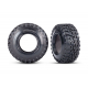 Tires, Canyon RT 4.6 x 2.2