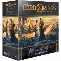 Lord of the Rings: The Card Game Angmar Awakened Hero Exp