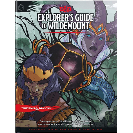 D&D Explorers Guide to Wildemount