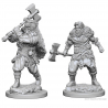 D&D Nolzurs Marvelous Miniatures - Human Male Barbarian