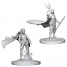 D&D Nolzurs Marvelous Miniatures - Elf Female Druid