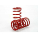 1/10 GTR Springs (1.0-Rate Tan Stripe) (2)