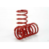 1/10 GTR Springs (1.0-Rate Tan Stripe) (2)