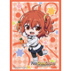 Bushiroad Sleeves HG Fate/Grand Carnival