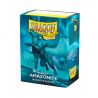 Dragon Shield Sleeves MATTE (100) Amazonite