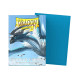 Dragon Shield Sleeves DUAL MATTE (100) Sky Blue & Silver