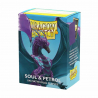 Dragon Shield Sleeves DUAL MATTE (100) Soul & Petrol