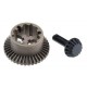 Ring gear, differential pinion gear, differential