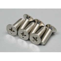 Screws, 4x12mm countersunk (100-degree) (6)